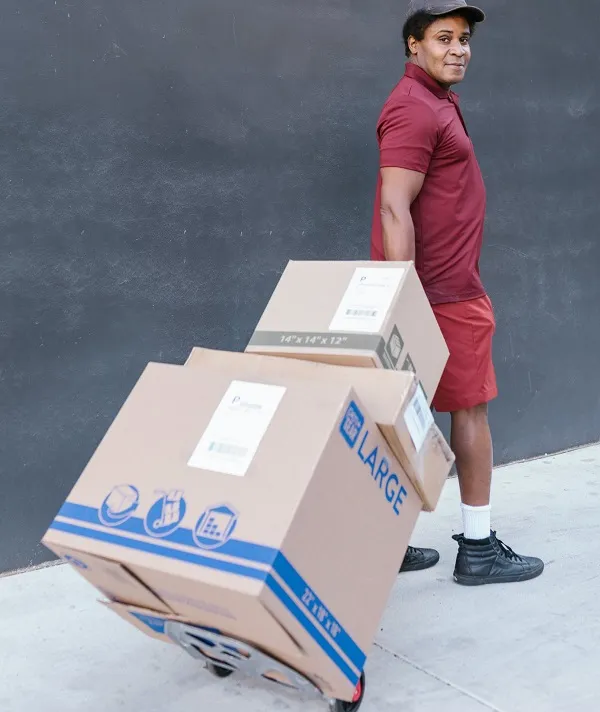 Furniture moving equipment essentials Moves & More